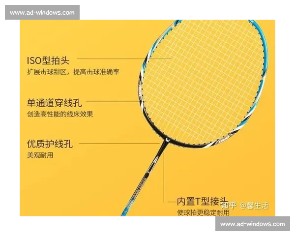 VS球拍全面解析：从材质工艺到击球手感的全方位评测与选购指南