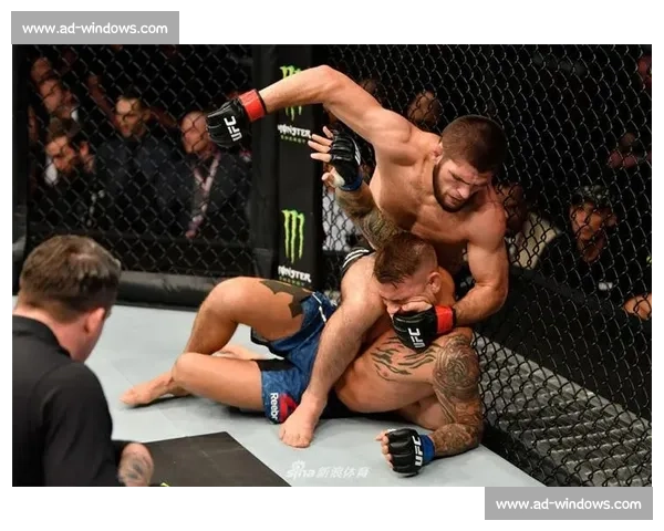 卡比布对决康纳UFC世纪之战背后的恩怨与格斗传奇全面解析史